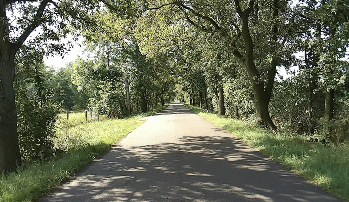 „Kühle Spur“: Erster klimaangepasster Radweg startet in der Lausitz