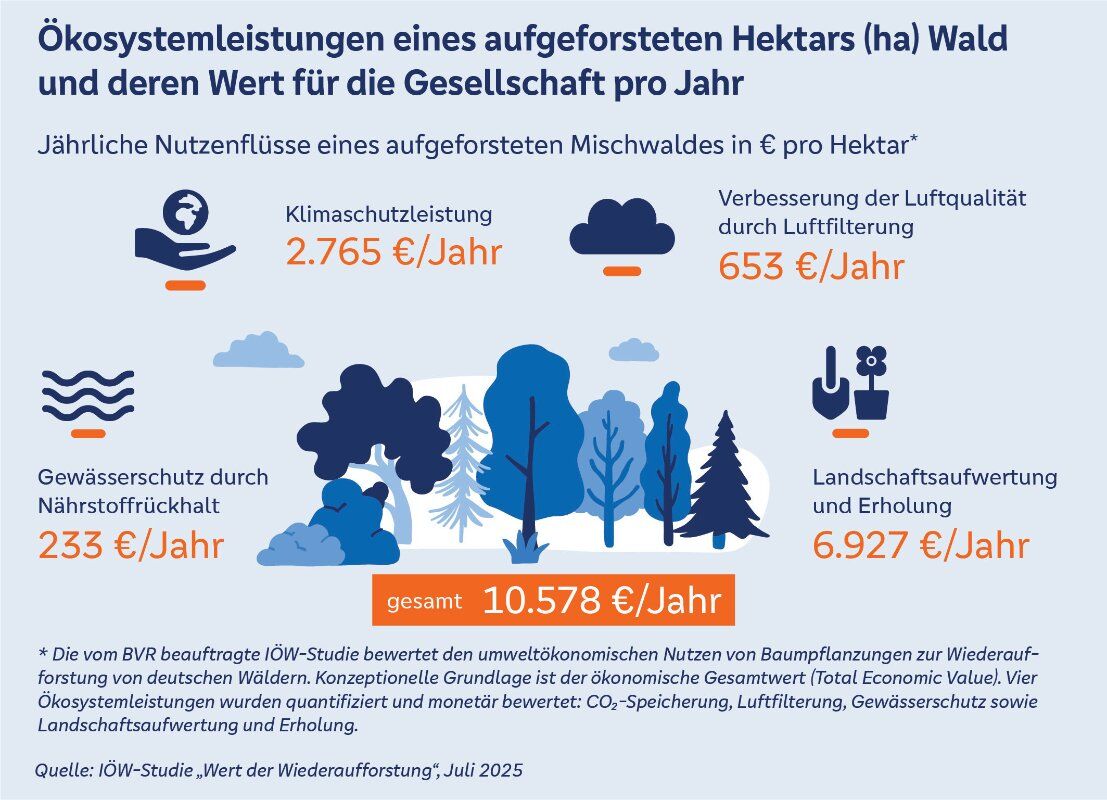 Ökosystemleistung eines aufgeforsteten Hektars Wald