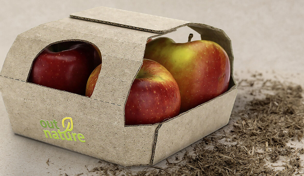 Neue Studie zu Silphie-Papier