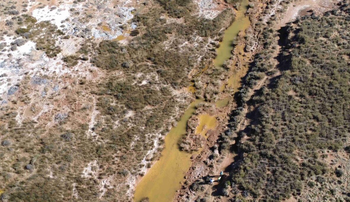 Wie Stressfaktoren das Leben in Flüssen formen