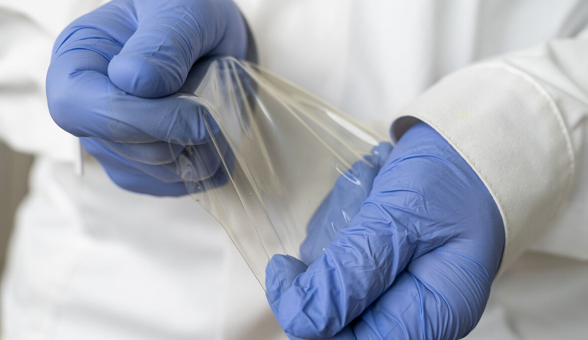 Folien und Beschichtungen aus chitinhaltigen Reststoffen