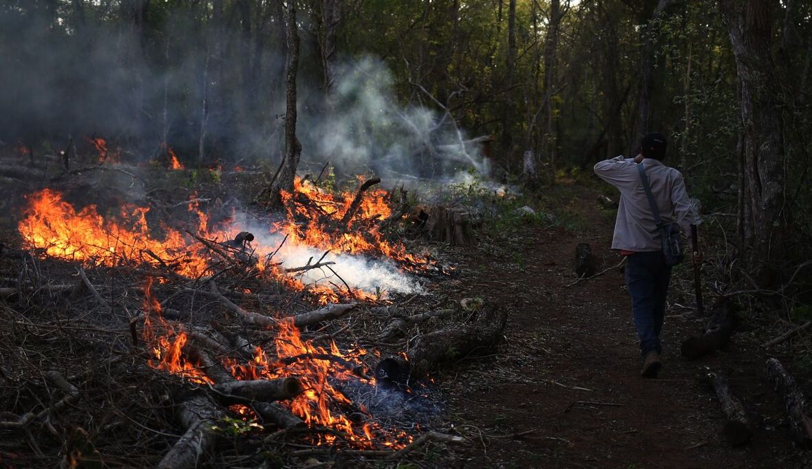Waldbrände in Bolivien zerstören Millionen Hektar Tropenwald