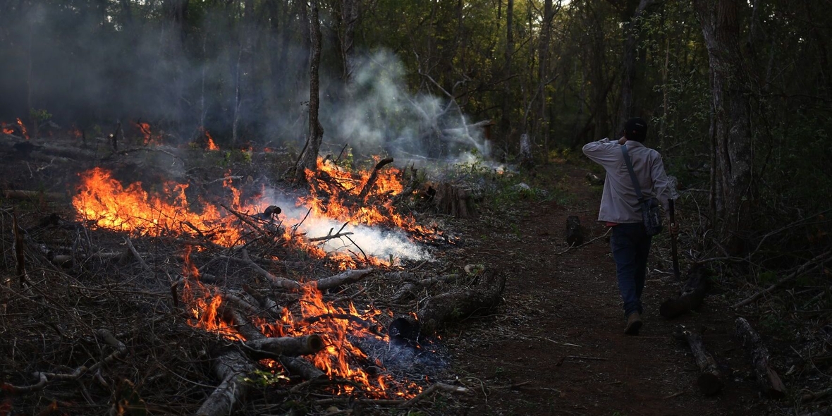 Waldbrände in Bolivien zerstören Millionen Hektar Tropenwald