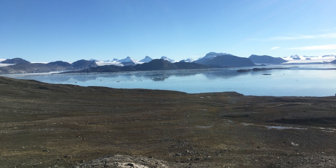 Flexibel und widerstandsfähig: Team untersucht Zellfunktion neu entdeckter Algenart