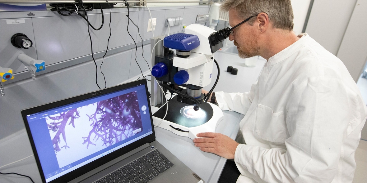 Die Kraft natürlicher Klimaschützer – und ihre Grenzen