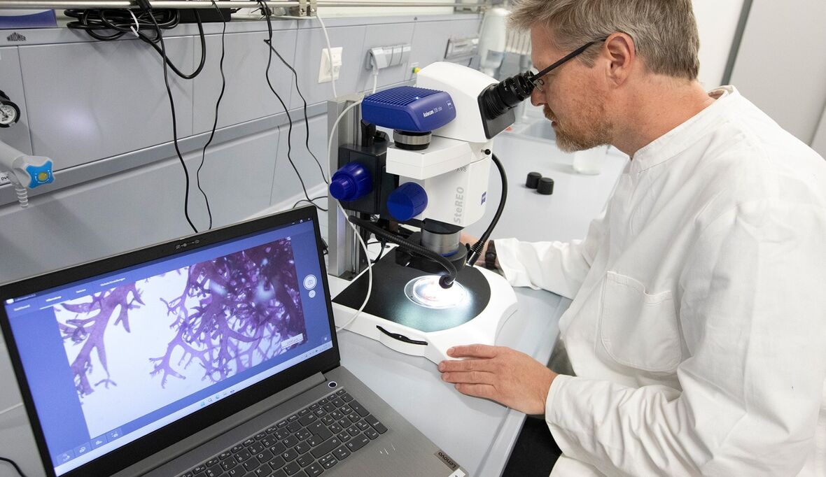 Die Kraft natürlicher Klimaschützer – und ihre Grenzen