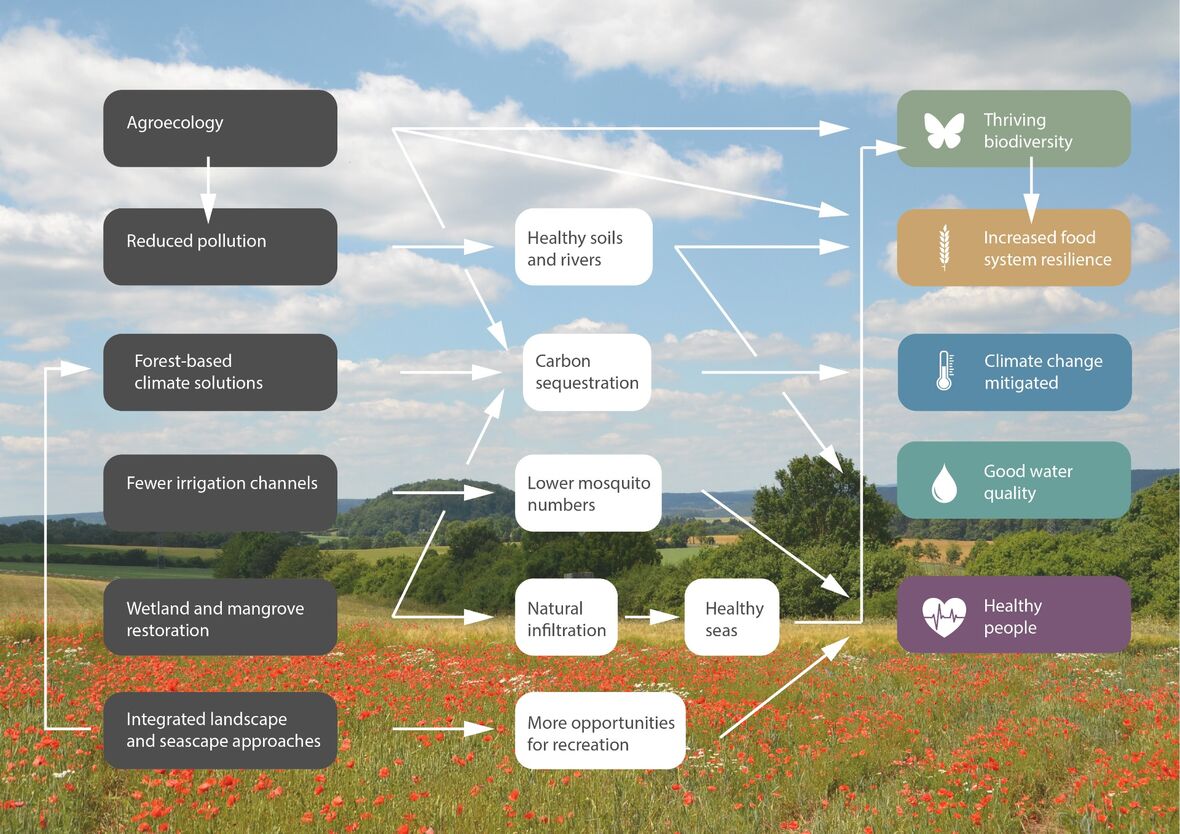 Die globalen Krisen sind eng miteinander verbunden.