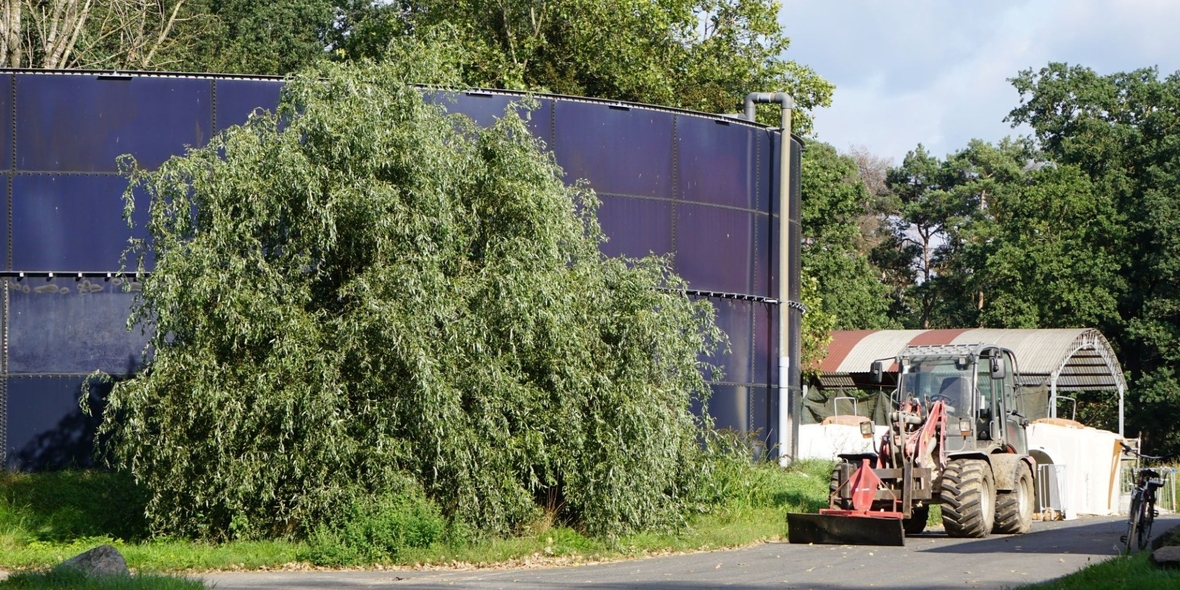 Einfacher Zusatz, große Wirkung: Kalkstickstoff senkt Methanemissionen aus Gülle deutlich