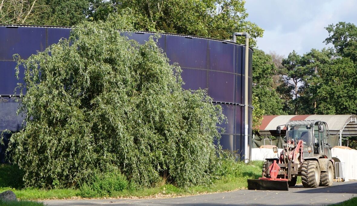 Einfacher Zusatz, große Wirkung: Kalkstickstoff senkt Methanemissionen aus Gülle deutlich