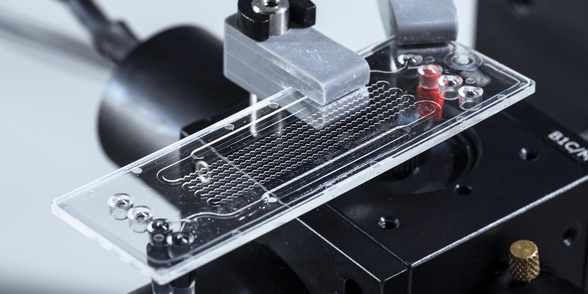 PFAS-Nachweis in 15 Minuten: BAM entwickelt Sensorsystem für schnelle Vor-Ort-Analysen