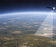 Mit Satelliten Waldschäden schneller erkennen