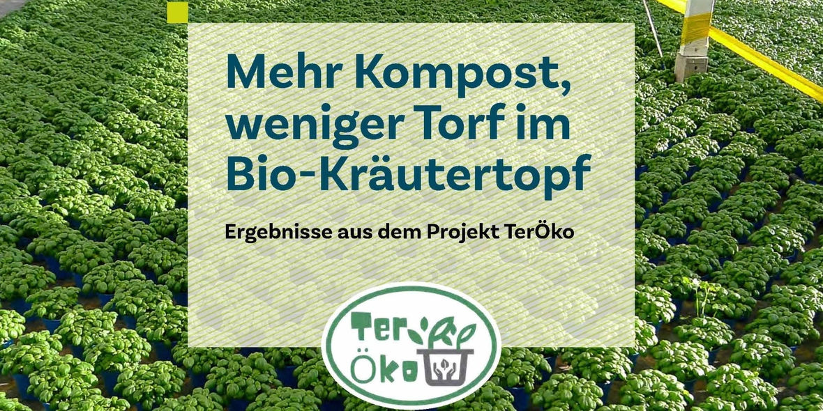 Kompost kann Alternative zu Torf sein – Merkblatt zeigt wie Übergang gelingt