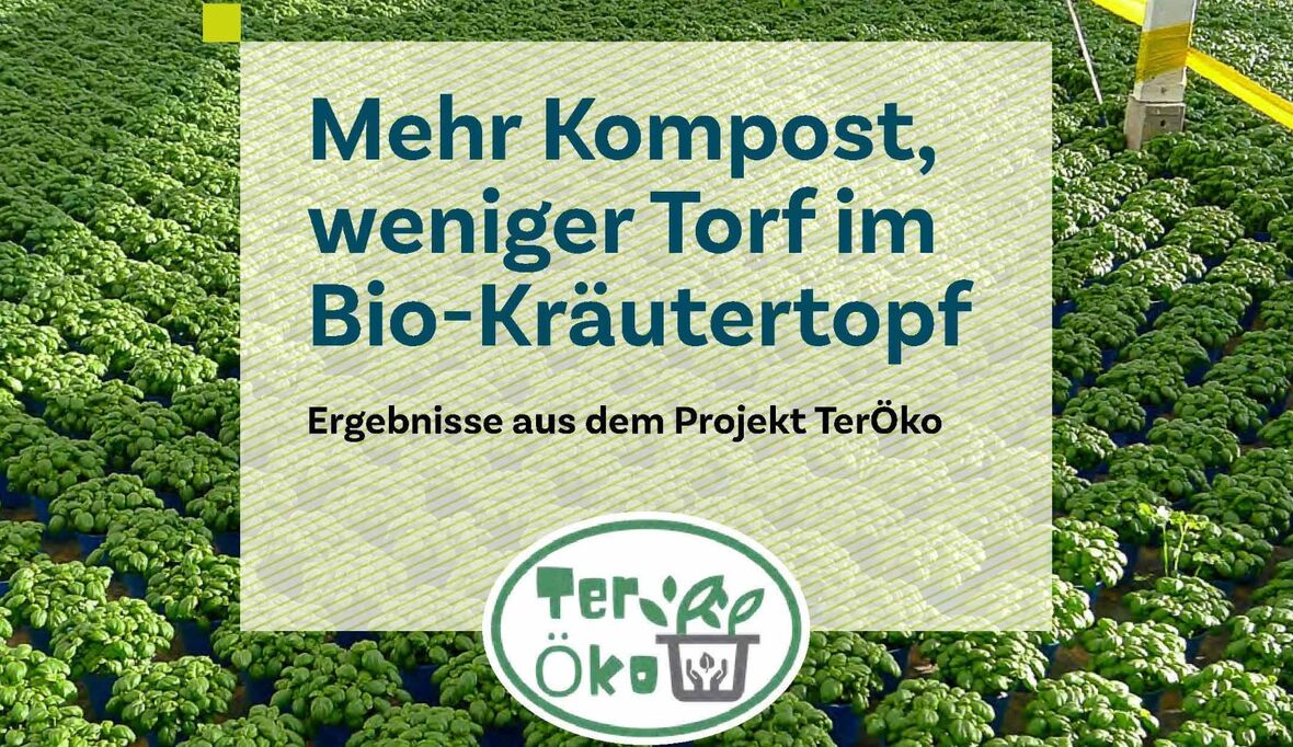 Kompost kann Alternative zu Torf sein – Merkblatt zeigt wie Übergang gelingt