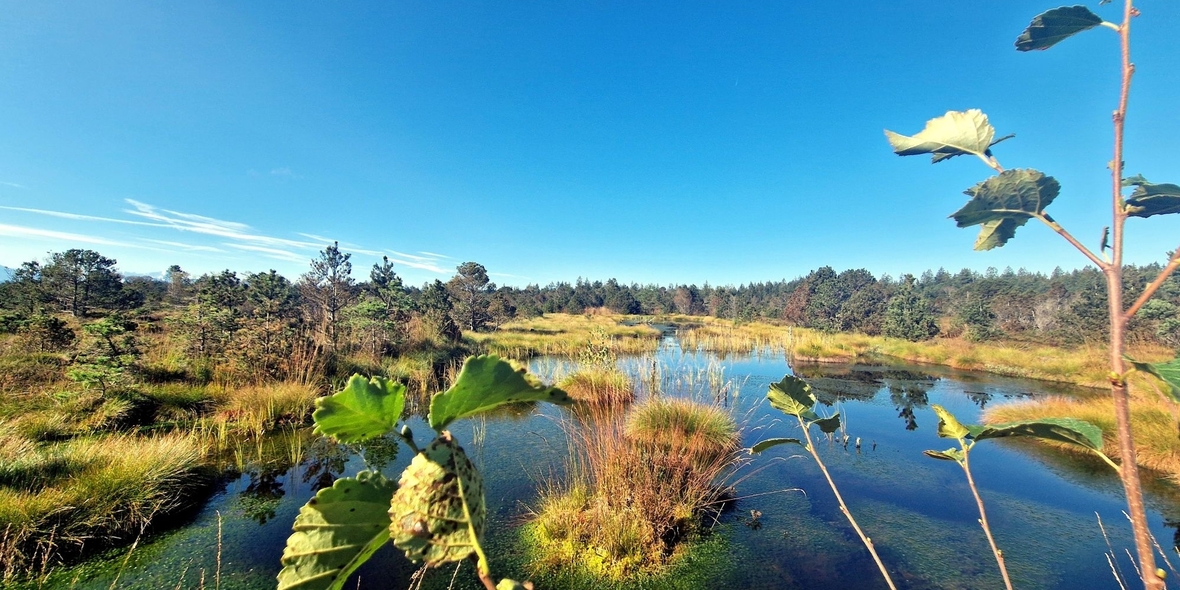 Naturräume mit Tonaufnahmen erfassen