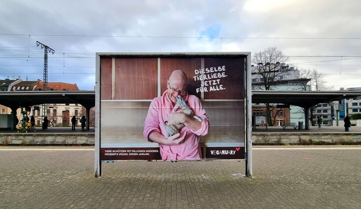 Bilanz zum Veganuary 2026: Millionen Menschen essen anders