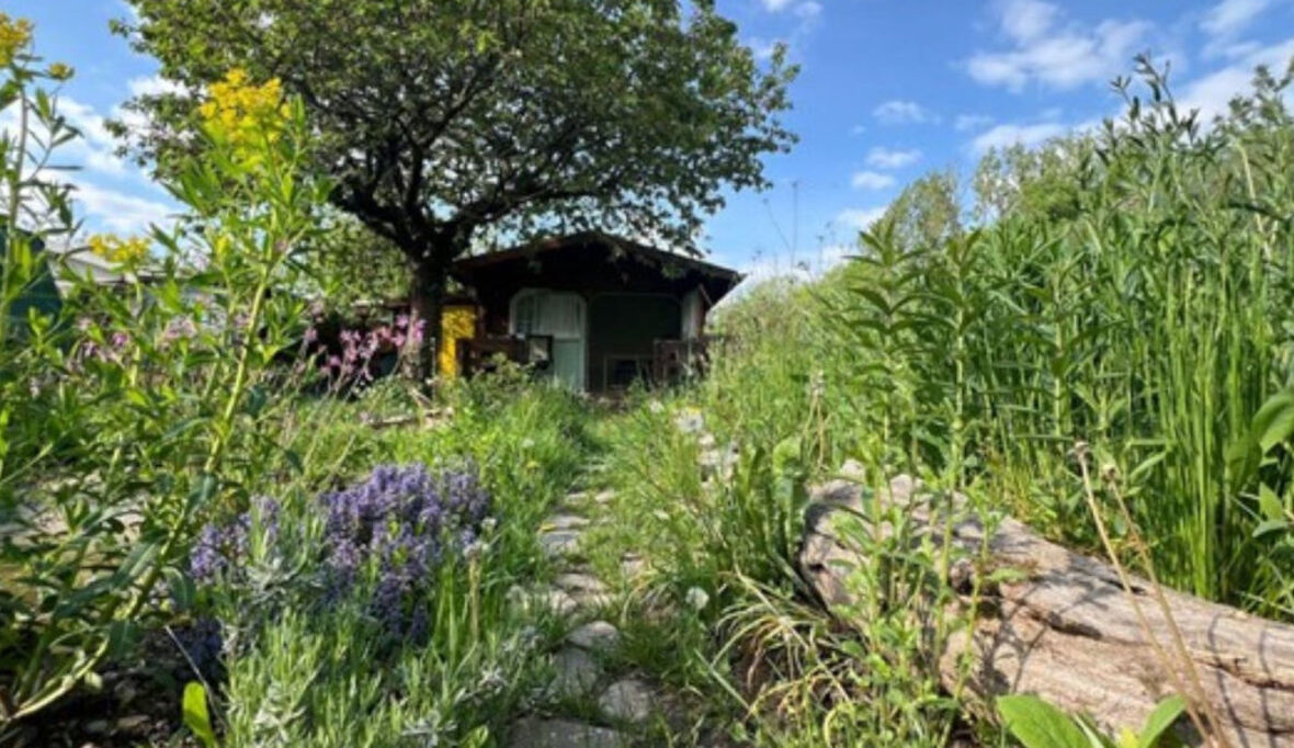 Bürgerwissenschaftsprojekt GartenDiv geht in zweite Runde