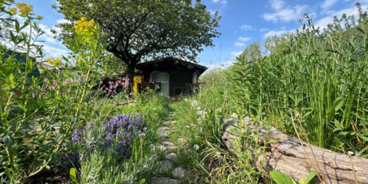 Bürgerwissenschaftsprojekt GartenDiv geht in zweite Runde