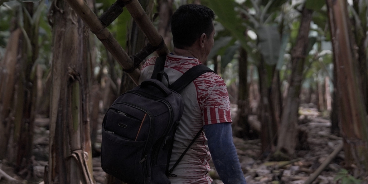 Gerechte Löhne auf Bananenplantagen: Edeka ist Schlusslicht