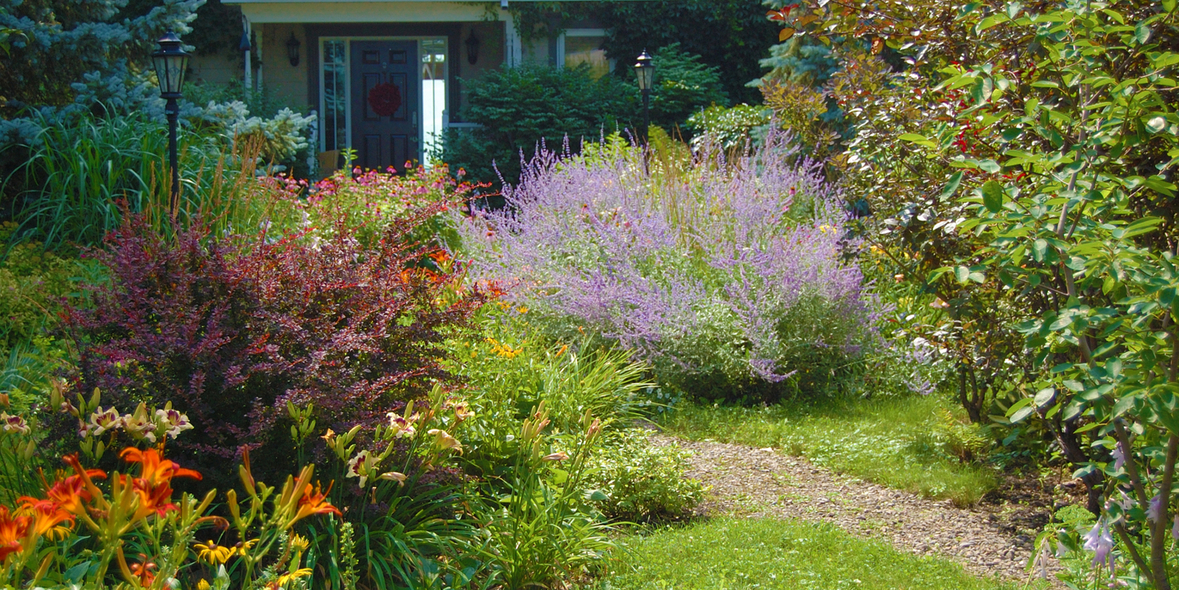 Grüne Visitenkarte: Vorgarten frühlingsfit machen
