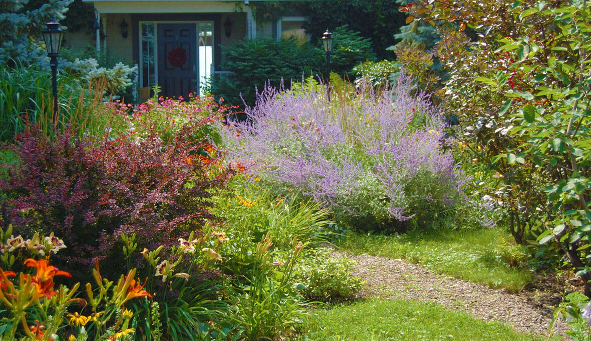 Grüne Visitenkarte: Vorgarten frühlingsfit machen