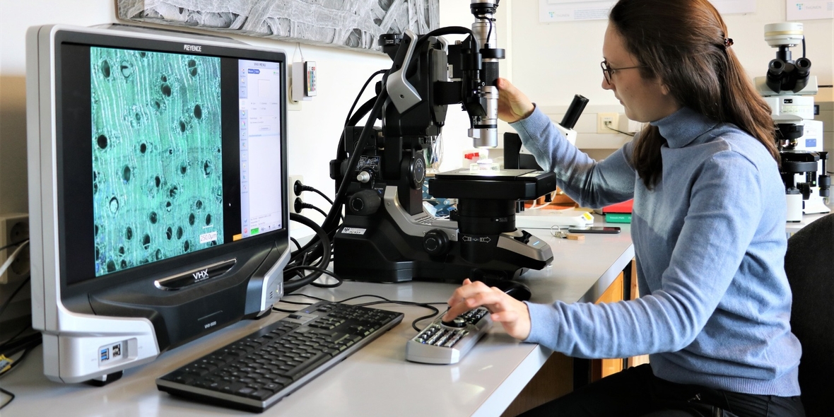 Neuer „Holzkohle-Atlas“ unterstützt bei der Umsetzung der EU-Entwaldungsverordnung