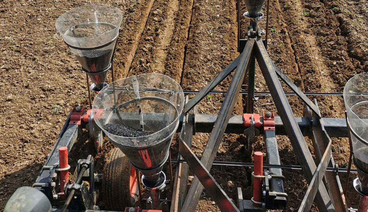 Mehr Humus, mehr Klimaschutz: Wie ökologisch-regenerative Landwirtschaft die Böden stärkt