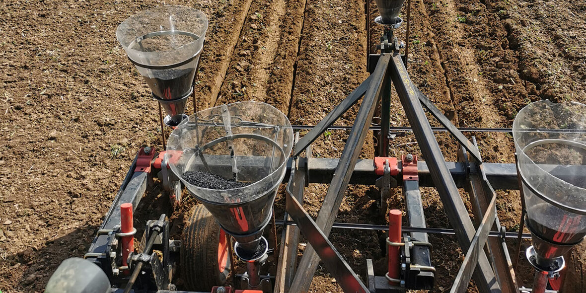 Mehr Humus, mehr Klimaschutz: Wie ökologisch-regenerative Landwirtschaft die Böden stärkt