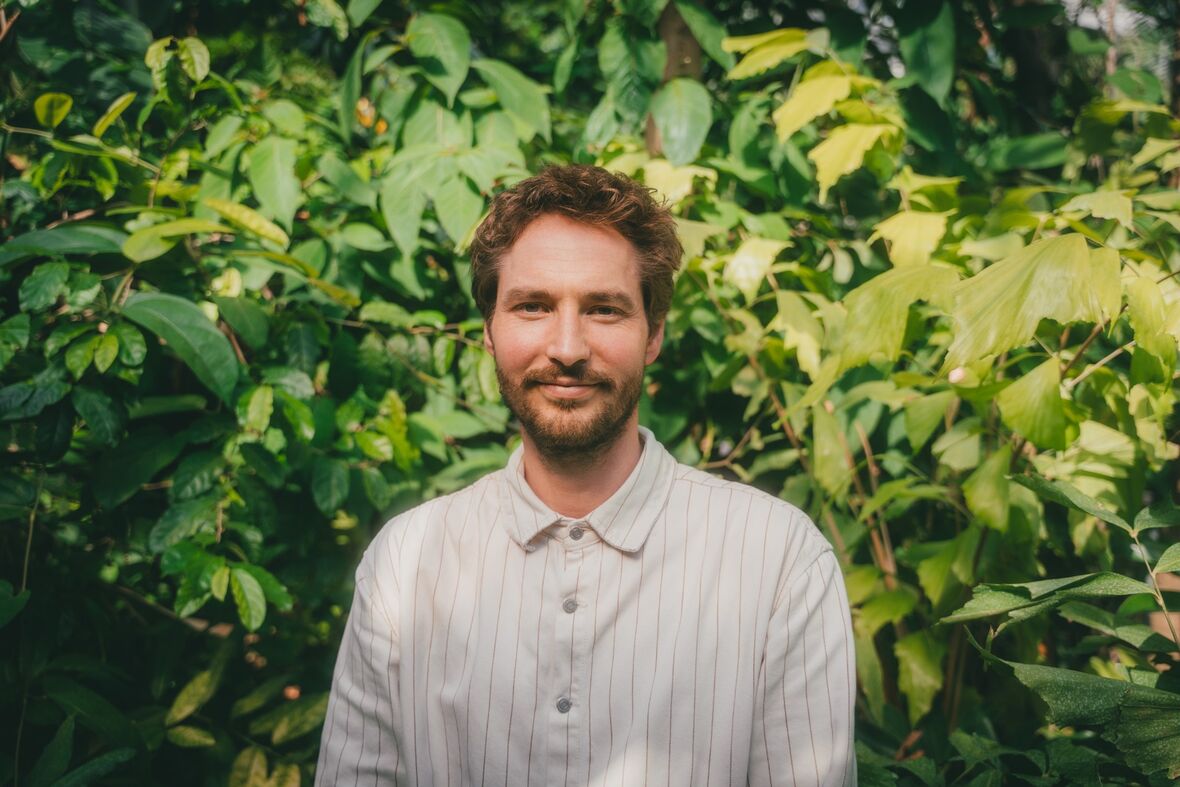 Luca Pot d’Or, The Generation Forest