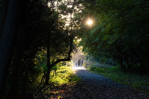 Trees planted in Umi-no-Mori Park can withstand the waterfront's salty winds.