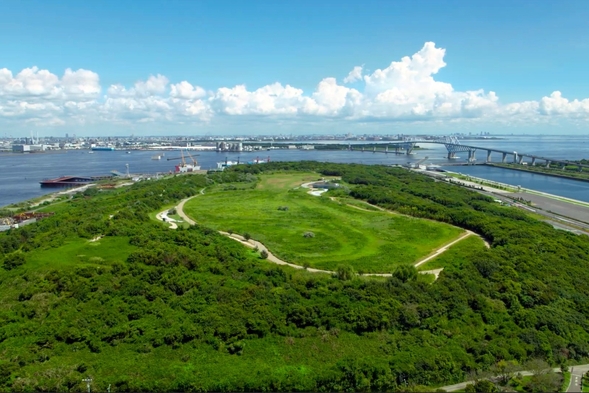Umi-no-Mori Park: A Transformation from Waste to Forest. 