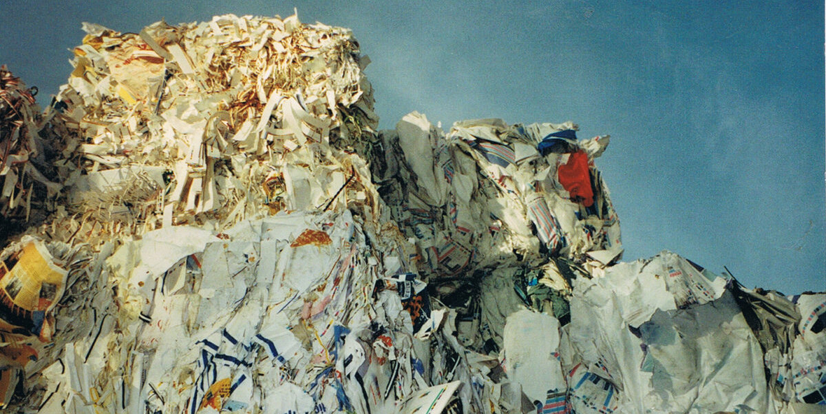 Wie Recyclingpapier zum Schutz von Land- und Menschenrechten beiträgt