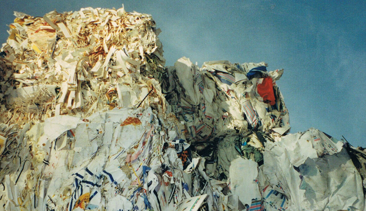 Wie Recyclingpapier zum Schutz von Land- und Menschenrechten beiträgt