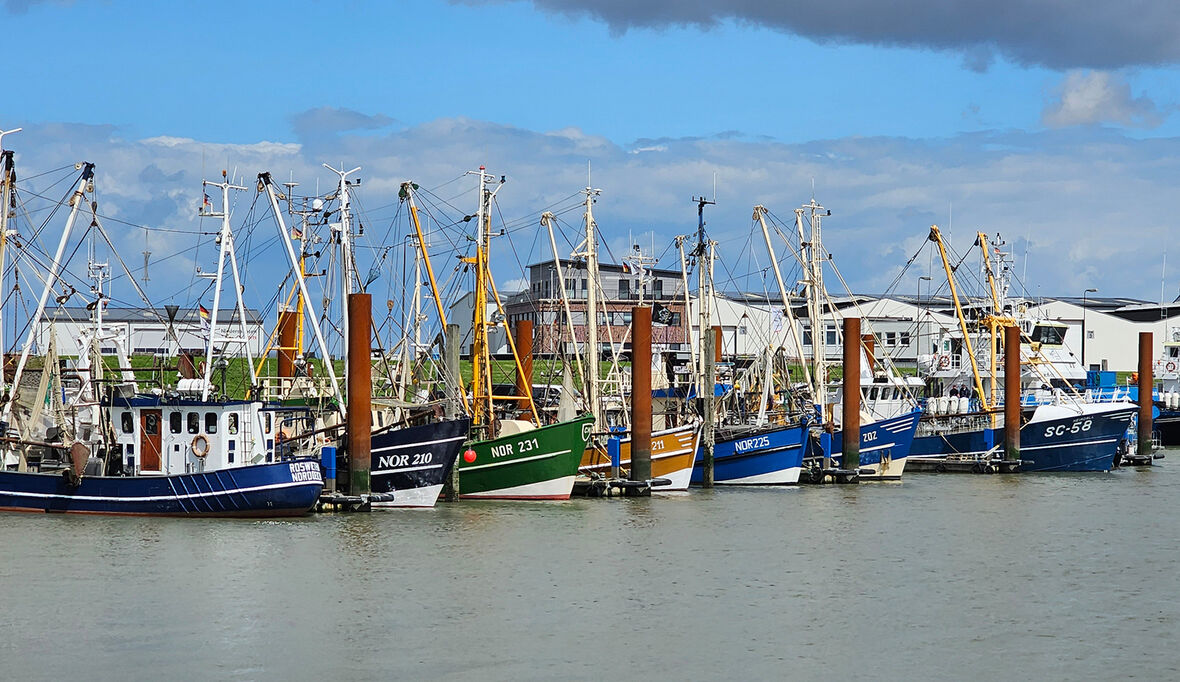 Neue Anlaufstelle begleitet Strukturwandel der Küstenfischerei