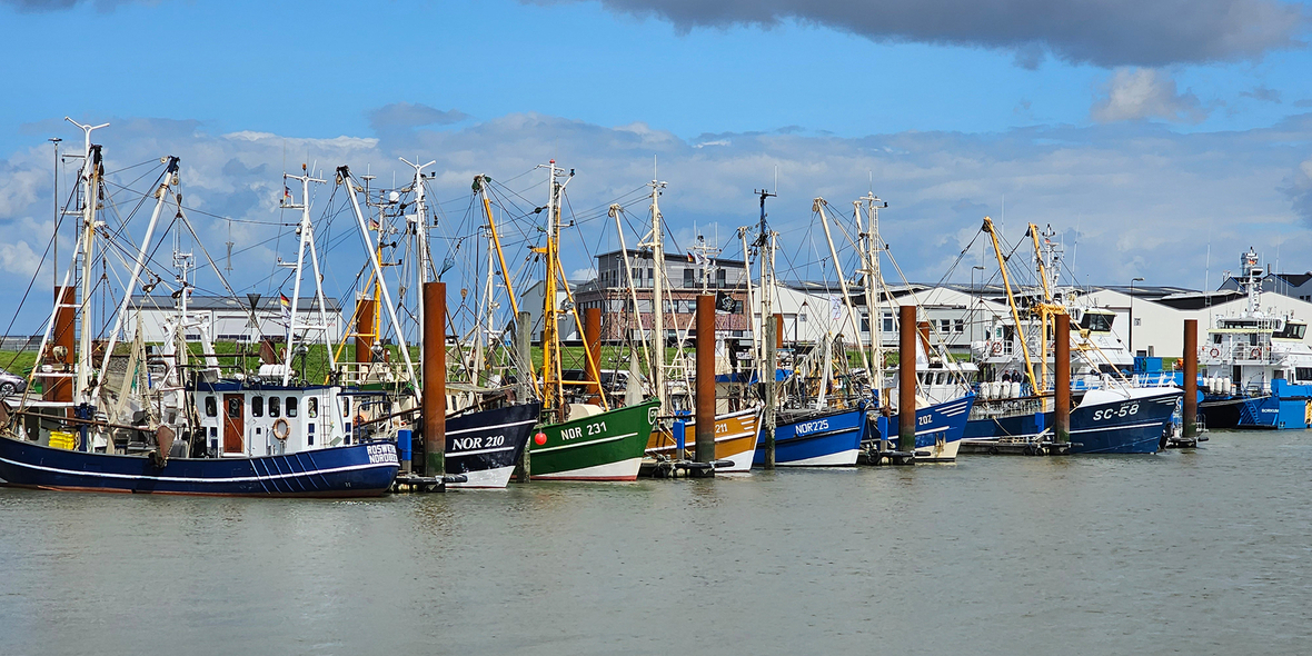 Neue Anlaufstelle begleitet Strukturwandel der Küstenfischerei