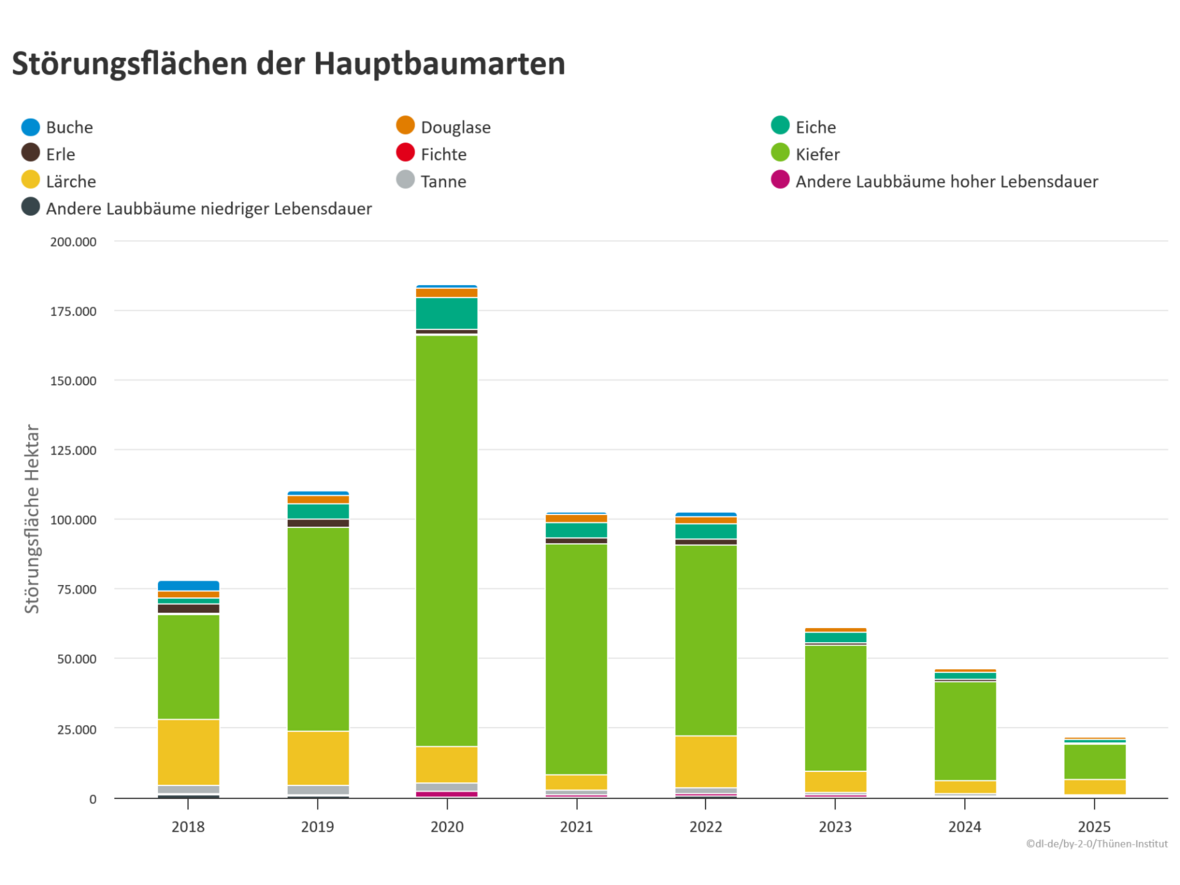 Diagramm mit Störungsflächen nach Hauptbaumarten und Störungsjahren.