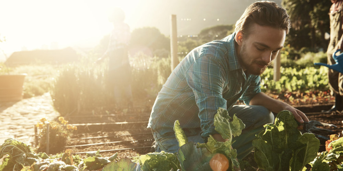 Urban Farming: Gärtnern in der Großstadt 