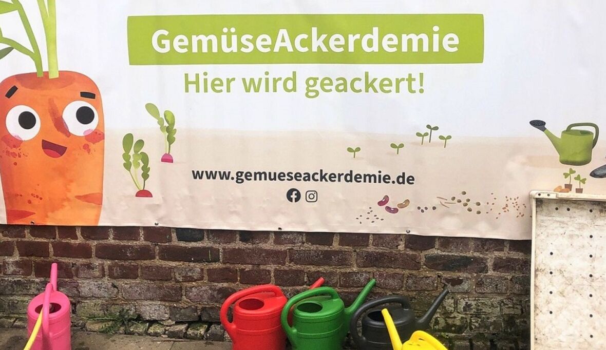 Mit Unterstützung von ALDI SÜD: Grundschüler bauen ihr eigenes Gemüse an