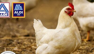 ALDI: Erste Hähnchenprodukte erfüllen Kriterien der EMI