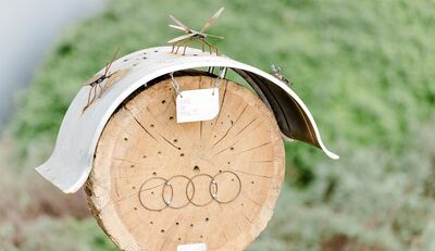 Audi-Azubis mit Herz für Insekten 