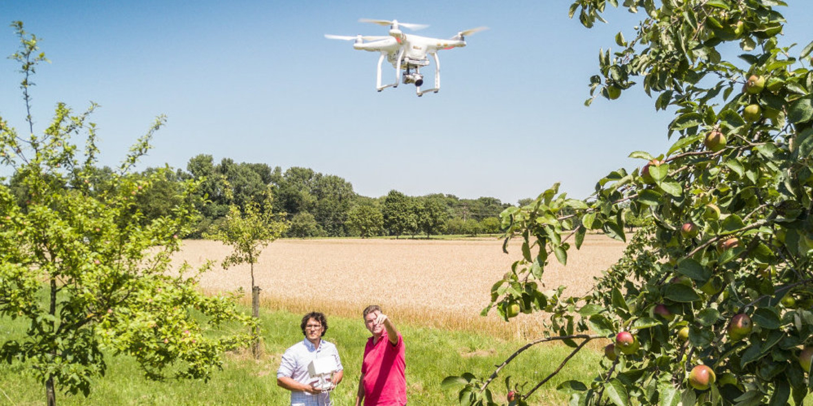 Streuobstwiesen: Audi-Stiftung fördert Drohnenflüge