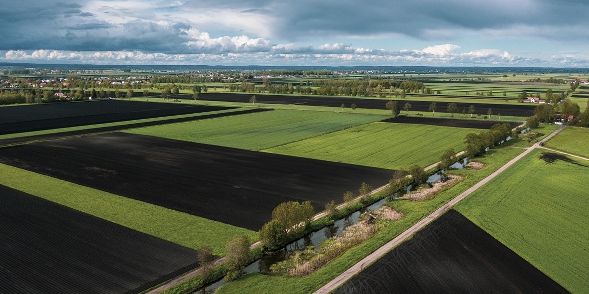 Audi Stiftung: Moorschutz mittels Klimazertifikaten