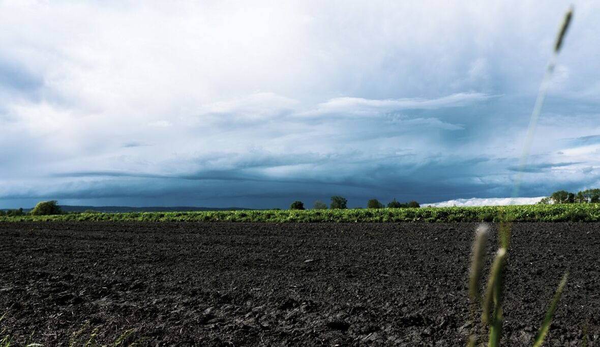 Moore als CO2-Langzeitspeicher: regionalen Machbarkeitsstudie startet