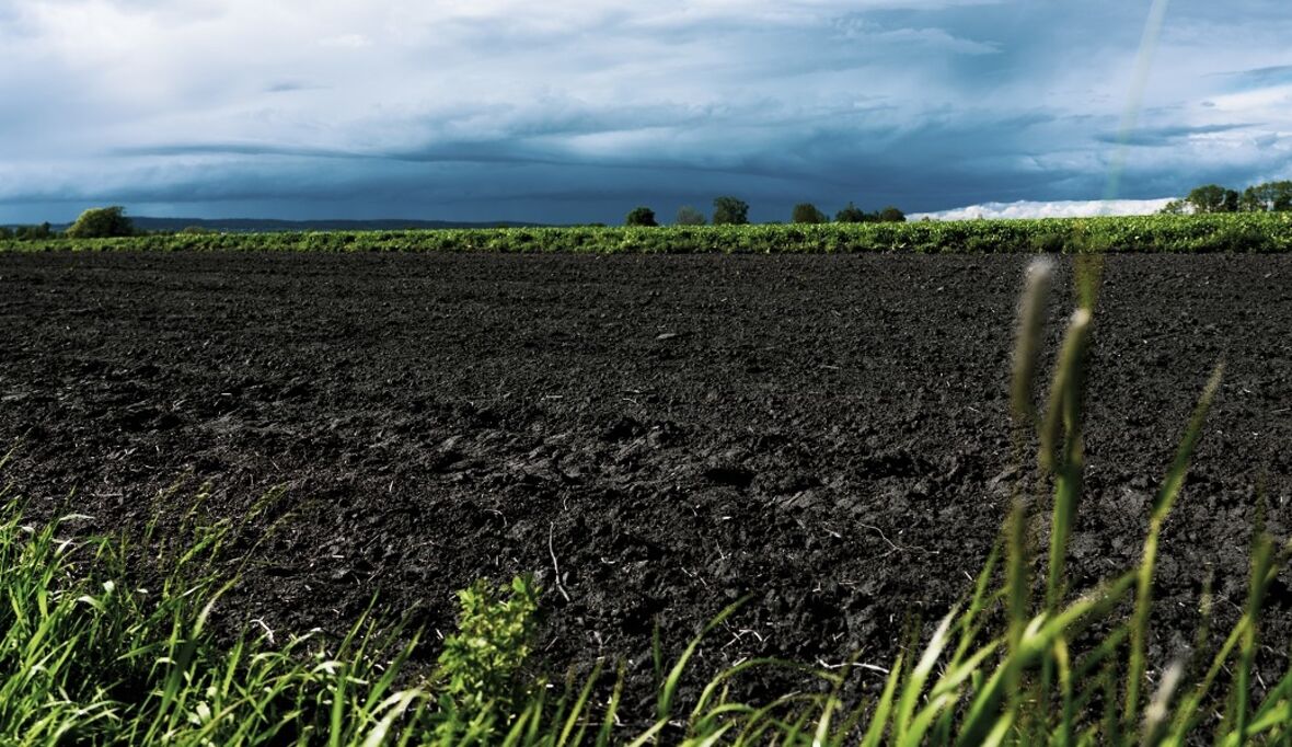 Moorschutz soll sich für alle lohnen