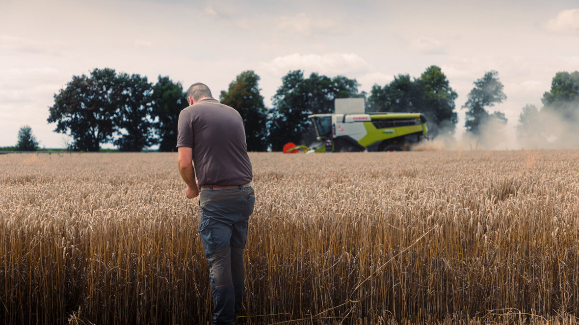 Partnerschaften mit den Lieferanten