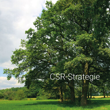 Blickpunkt Antalis Kachel 1: CSR-Strategie 
