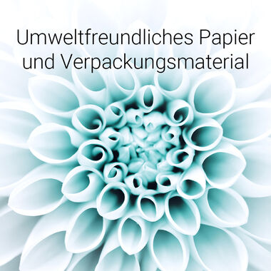 Blickpunkt Antalis  Kachel 4: Umweltfreundliches Papier und Verpackungsmaterial 