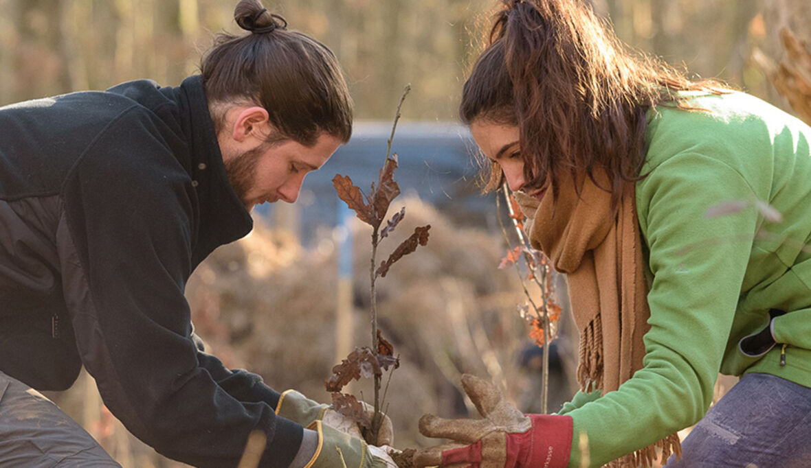 Antalis unterstützt erneut das Bergwaldprojekt