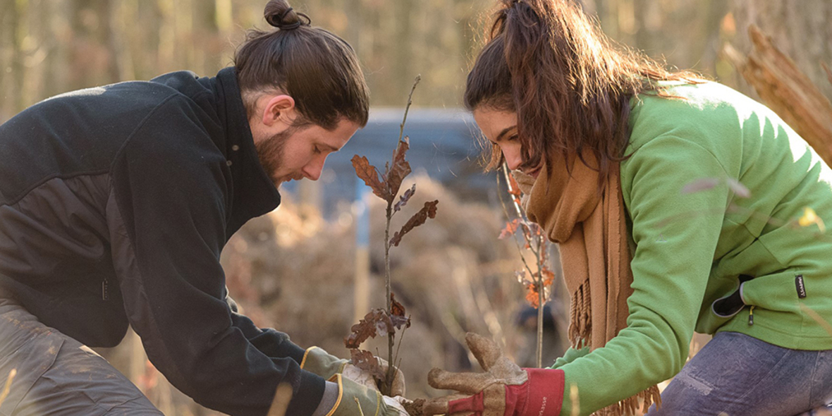 Antalis unterstützt erneut das Bergwaldprojekt