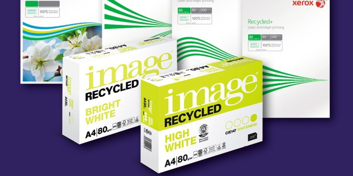 Antalis unterstützt das Bergwaldprojekt