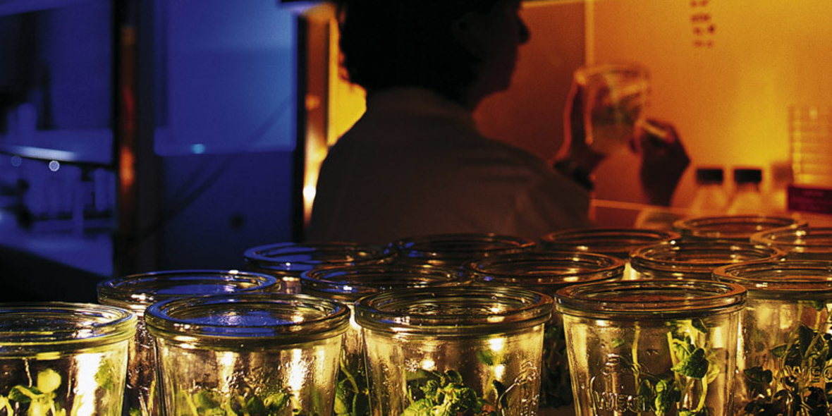 Jubiläumsausgabe des Bayer-Forschungsmagazins „research“